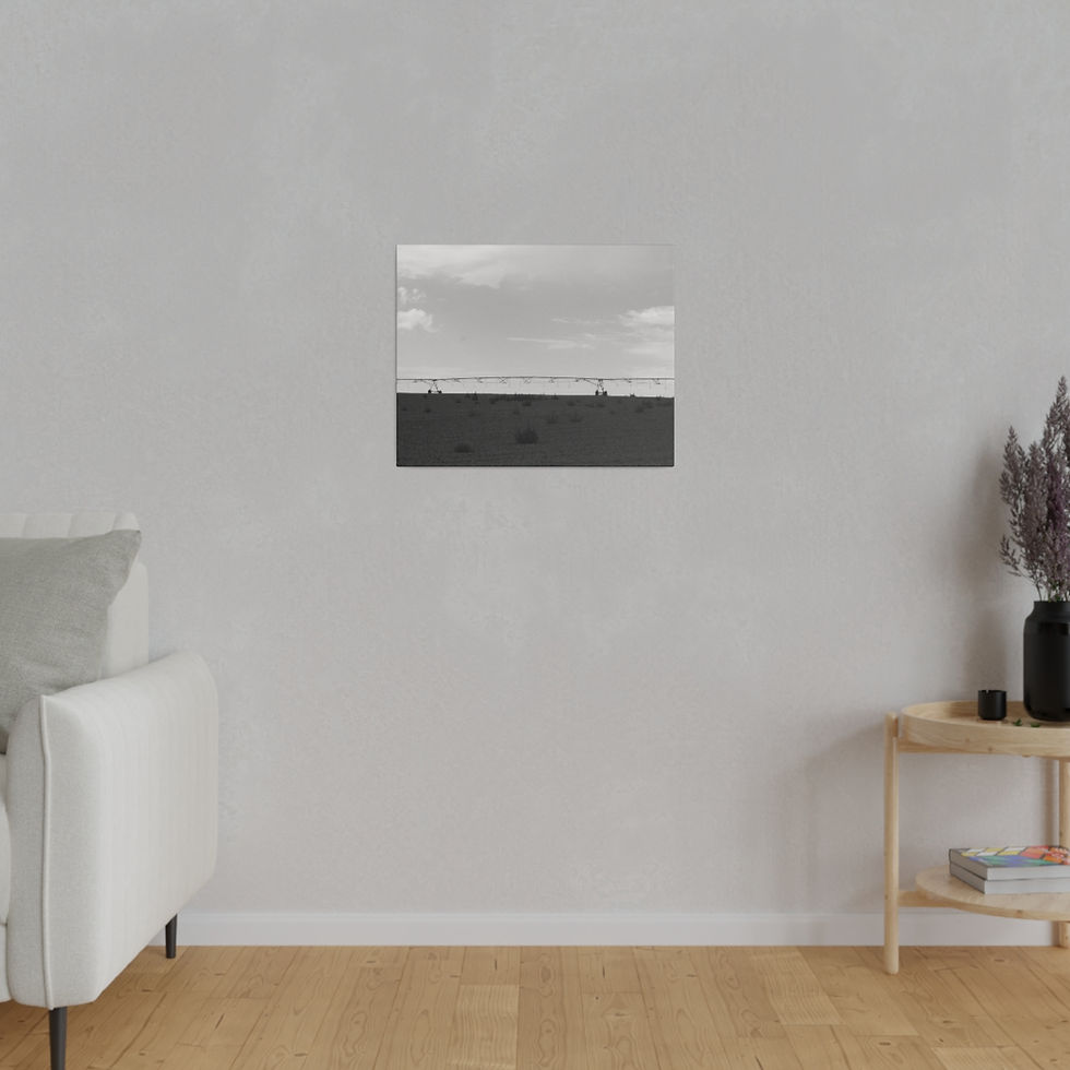 Thumbnail: Black & White Farm Irrigation Sprinkler On a Hill Matte Canvas Stretched