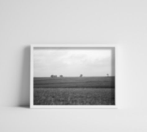 Black & White Midwest Cornfield Landscape Photography Print