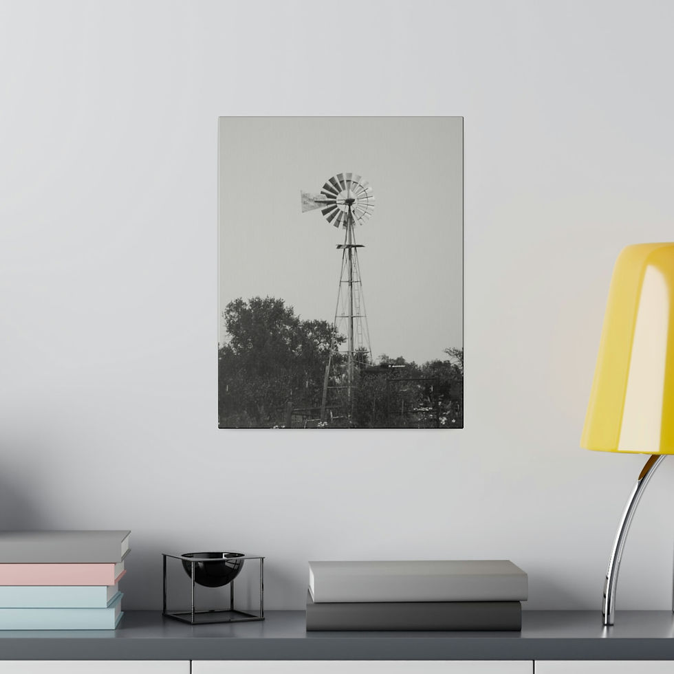 Thumbnail: Black & White Windmill in a Texas Field Matte Canvas Stretched