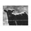 Thumbnail: Black & White Young Cow in Field Matte Canvas Stretched