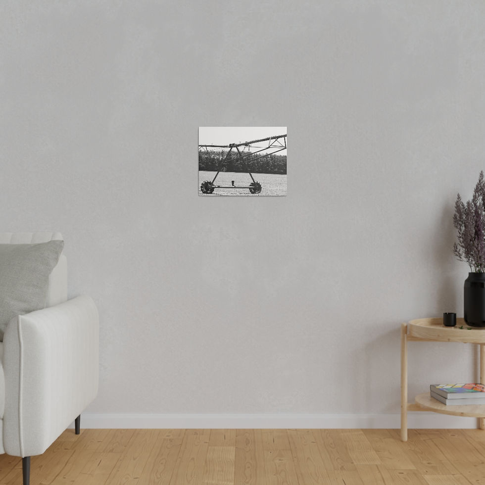 Thumbnail: Black & White Rusty Old Farm Irrigation Sprinkler Matte Canvas Stretched Framed