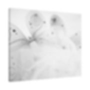 Black & White Fairy Wings and a Tutu Matte Canvas Stretched