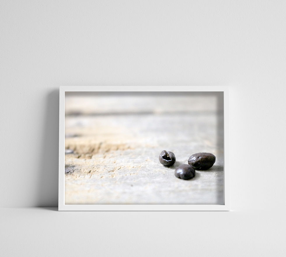 Three Coffee Beans on an Old Crate Color Photography Print