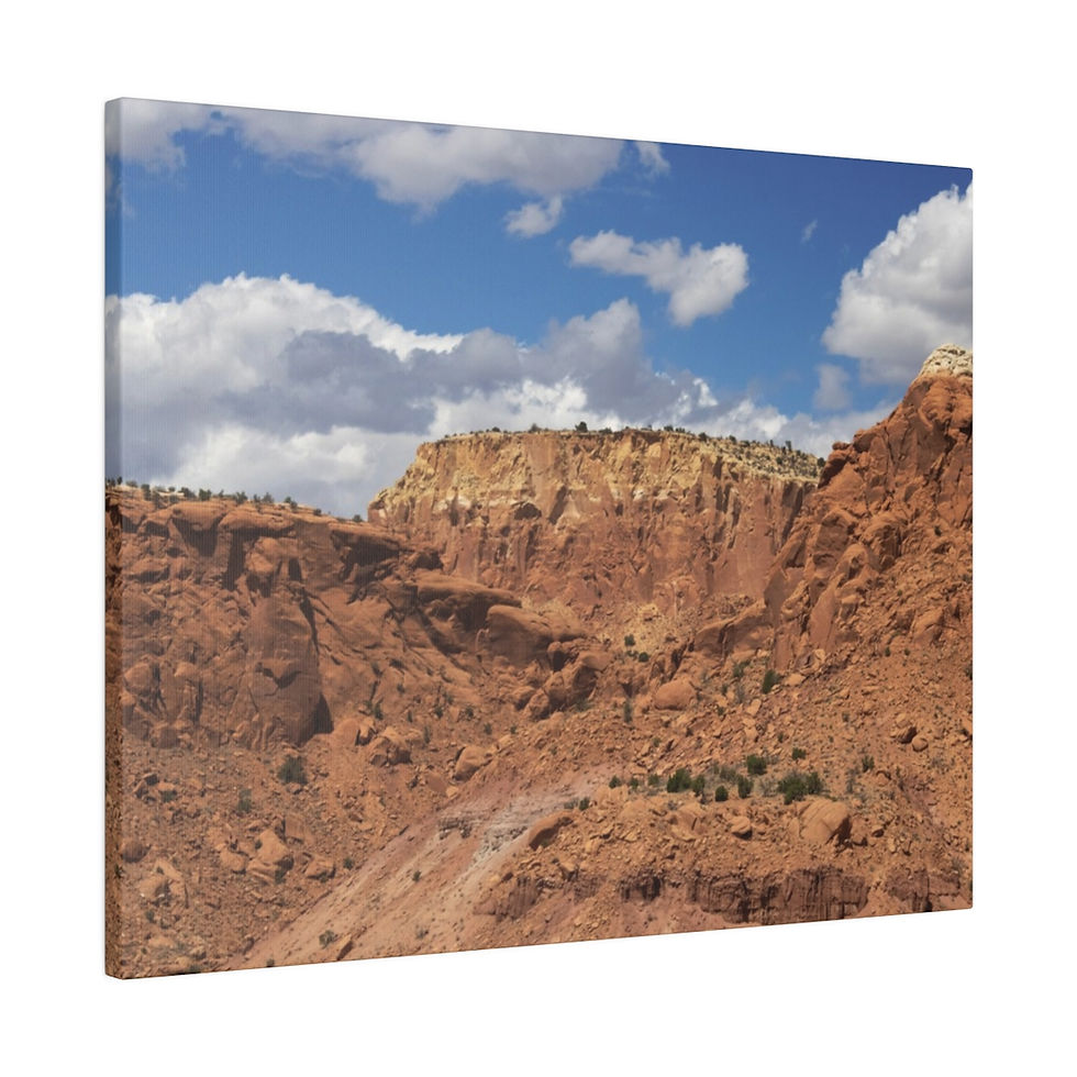 Thumbnail: Red Rocks in the Mountains of New Mexico Color Matte Canvas