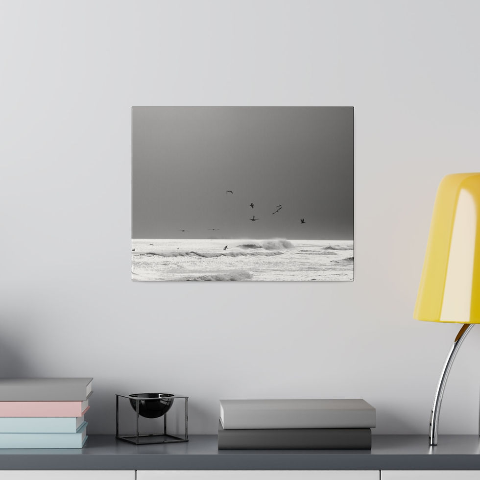 Thumbnail: Black & White Ocean Horizon with Brown Pelicans Matte Canvas