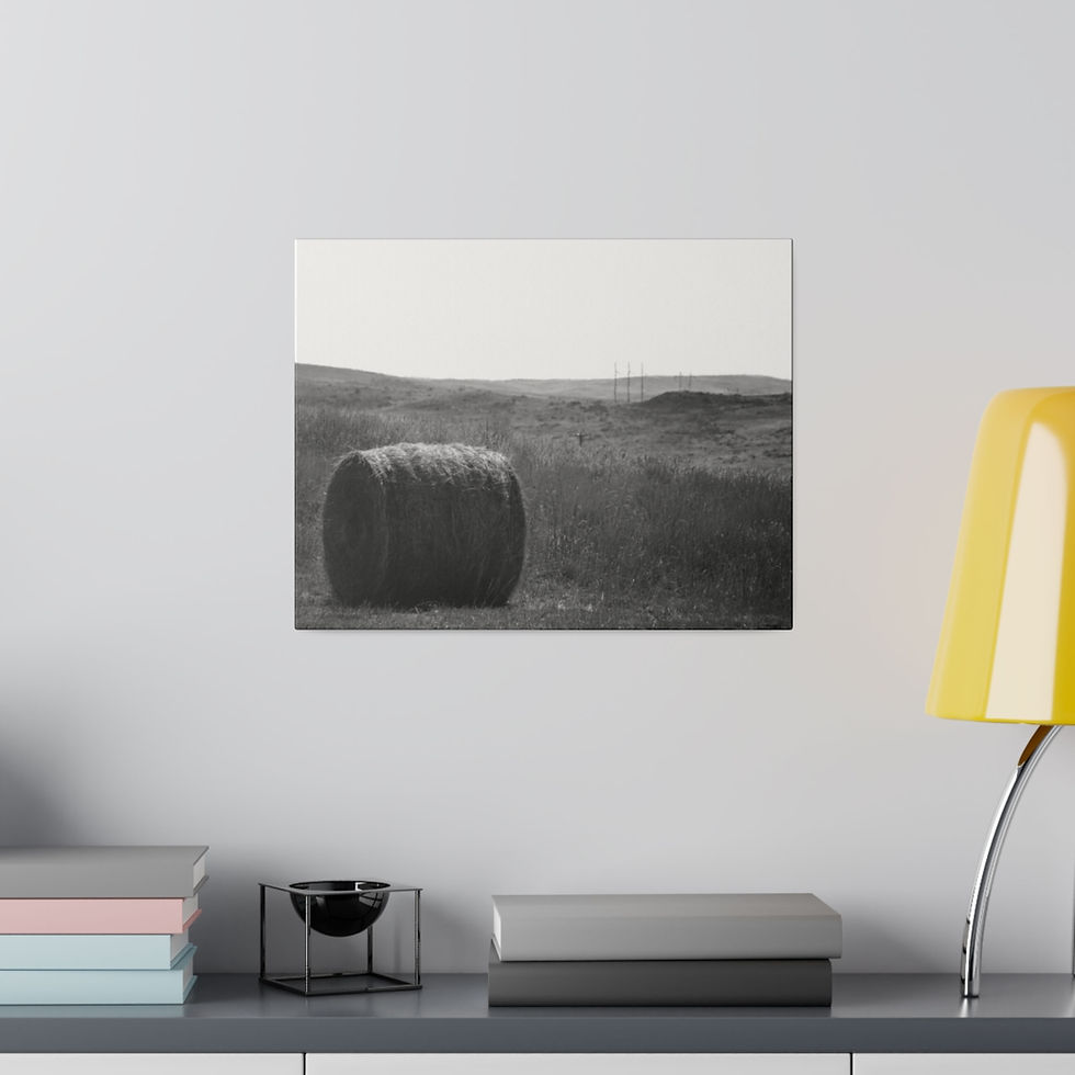 Thumbnail: Black & White Hay Bale in a Wyoming Field Matte Canvas