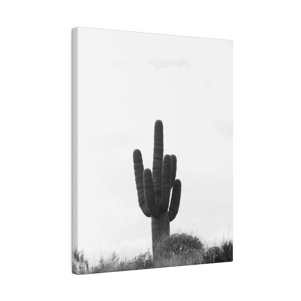 Thumbnail: Black & White Saguaro Cactus on Top of a Hill Matte Canvas