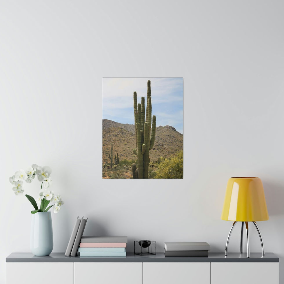 Thumbnail: Saguaro Cactus in the Arizona Desert Color Matte Canvas Stretched