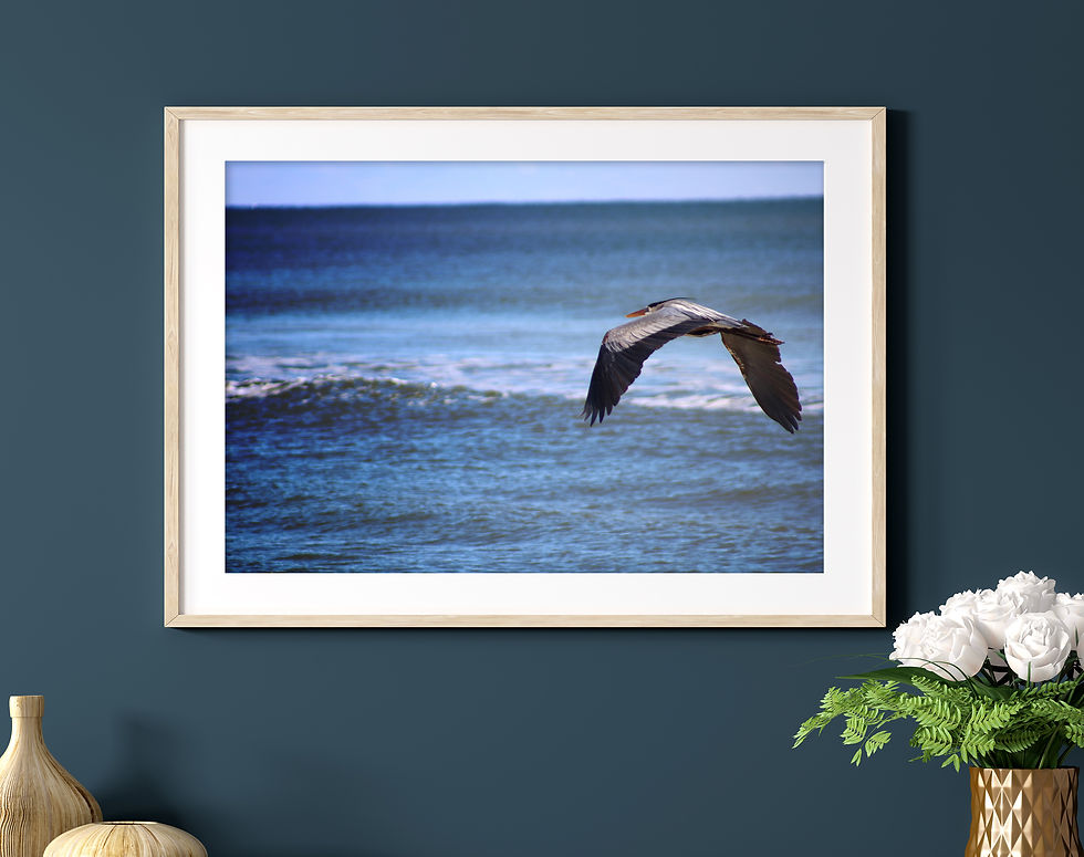 Thumbnail: Heron in Flight Over the Ocean Color Photography Print Wall Art