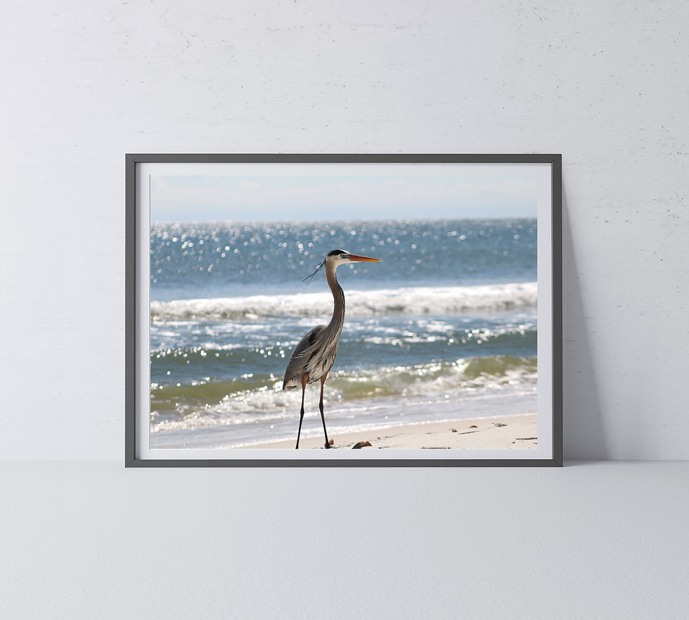 Thumbnail: Heron in Front of Ocean Waves Full Length Color Photography Print