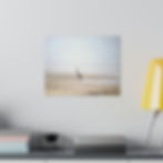 Thumbnail: Heron on the Foggy Beach Color Matte Canvas Stretched