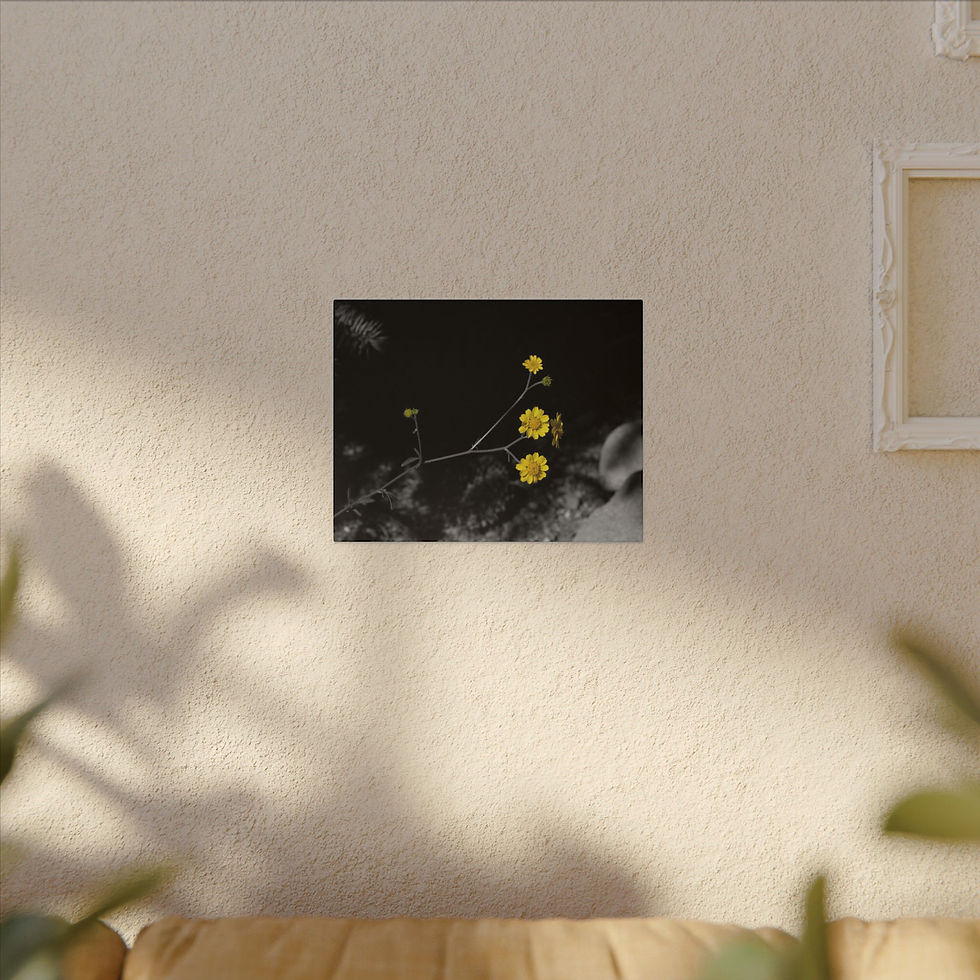 Thumbnail: Yellow Wildflowers Under a Tree Colored Matte Canvas Stretched Wrapped