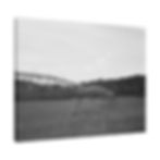 Thumbnail: Black & White Farm Irrigation Sprinkler In a Rural Farm Field Matte Canvas