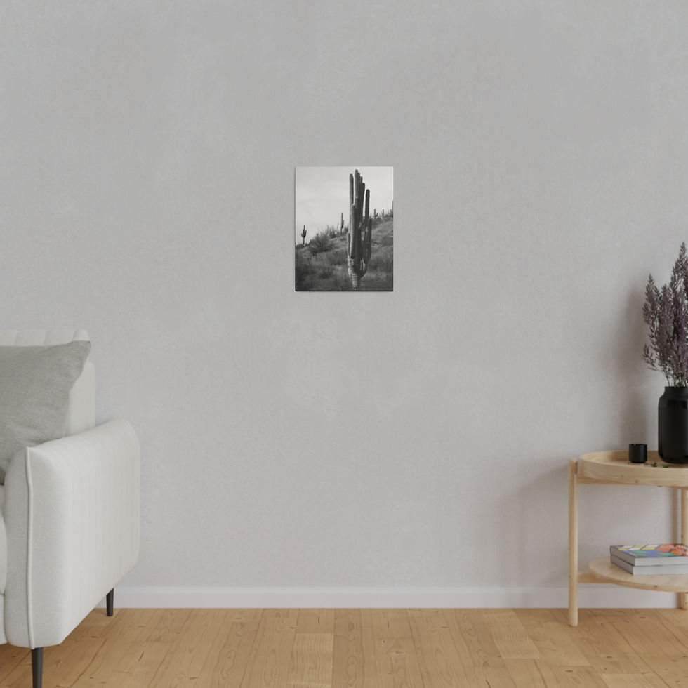 Thumbnail: Black & White Thick Saguaro Cactus Matte Canvas
