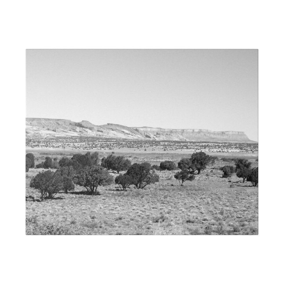 Thumbnail: Black & White Utah Desert Landscape with Trees Matte Canvas
