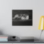 Thumbnail: Black & White Cat Laying on a Bench Matte Canvas Stretched
