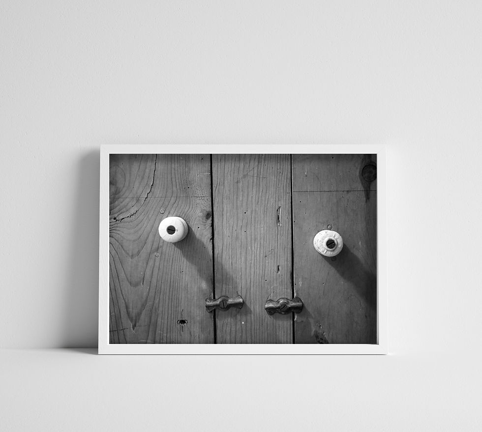 Black & White Rustic Wood Cabinet Doors Photography Print