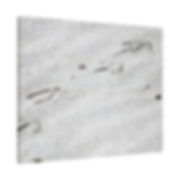 Heron Footprints in the Sand Color Matte Canvas Stretched