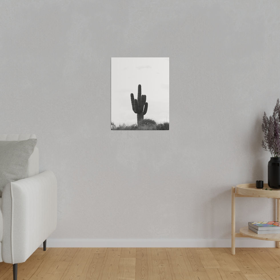 Thumbnail: Black & White Saguaro Cactus on Top of a Hill Matte Canvas