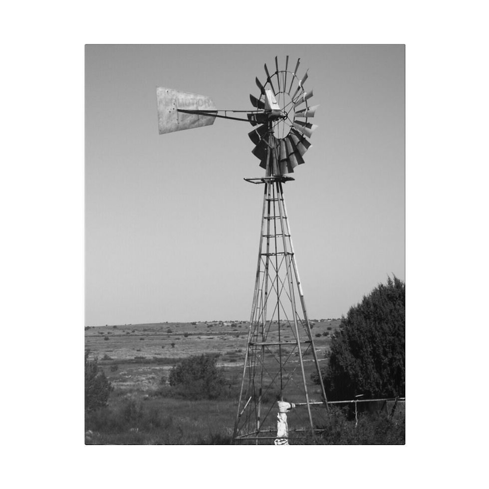 Thumbnail: Black & White Windmill in a Field of Rural Oklahoma Matte Canvas Stretched