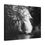 Thumbnail: Black & White Waterfall Through the Trees Matte Canvas