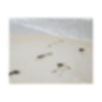 Thumbnail: Footprints on the Beach Sand Color Matte Canvas Stretched