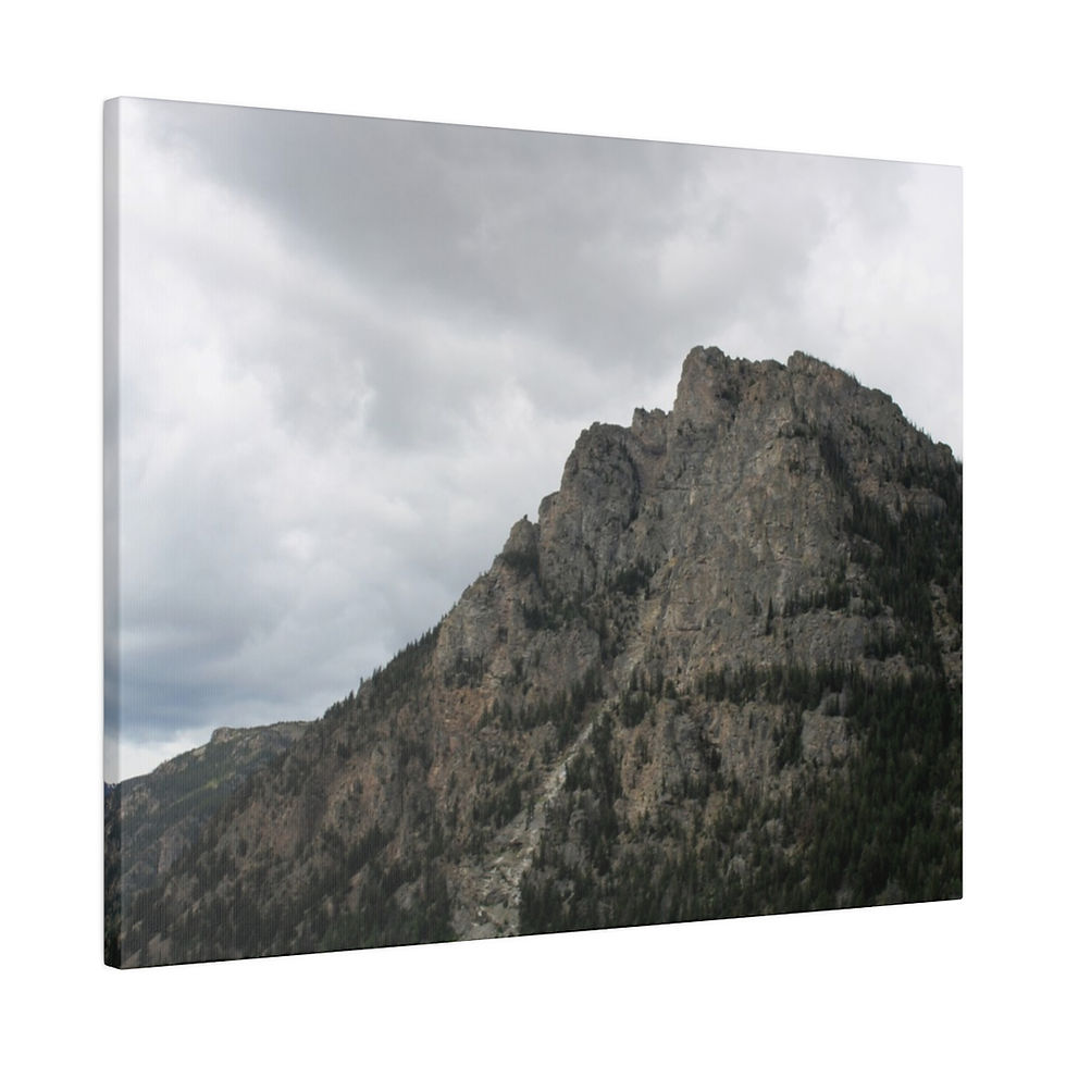 Thumbnail: Absaroka-Beartooth Mountains Color Matte Canvas
