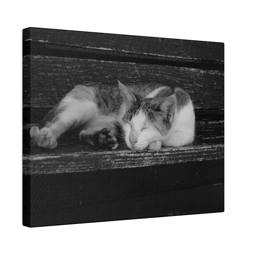 Thumbnail: Black & White Cat Laying on a Bench Matte Canvas Stretched
