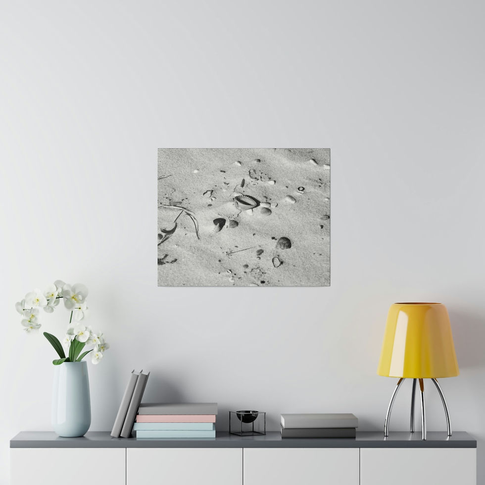 Thumbnail: Black & White Seashells in the Sand Matte Canvas Stretched