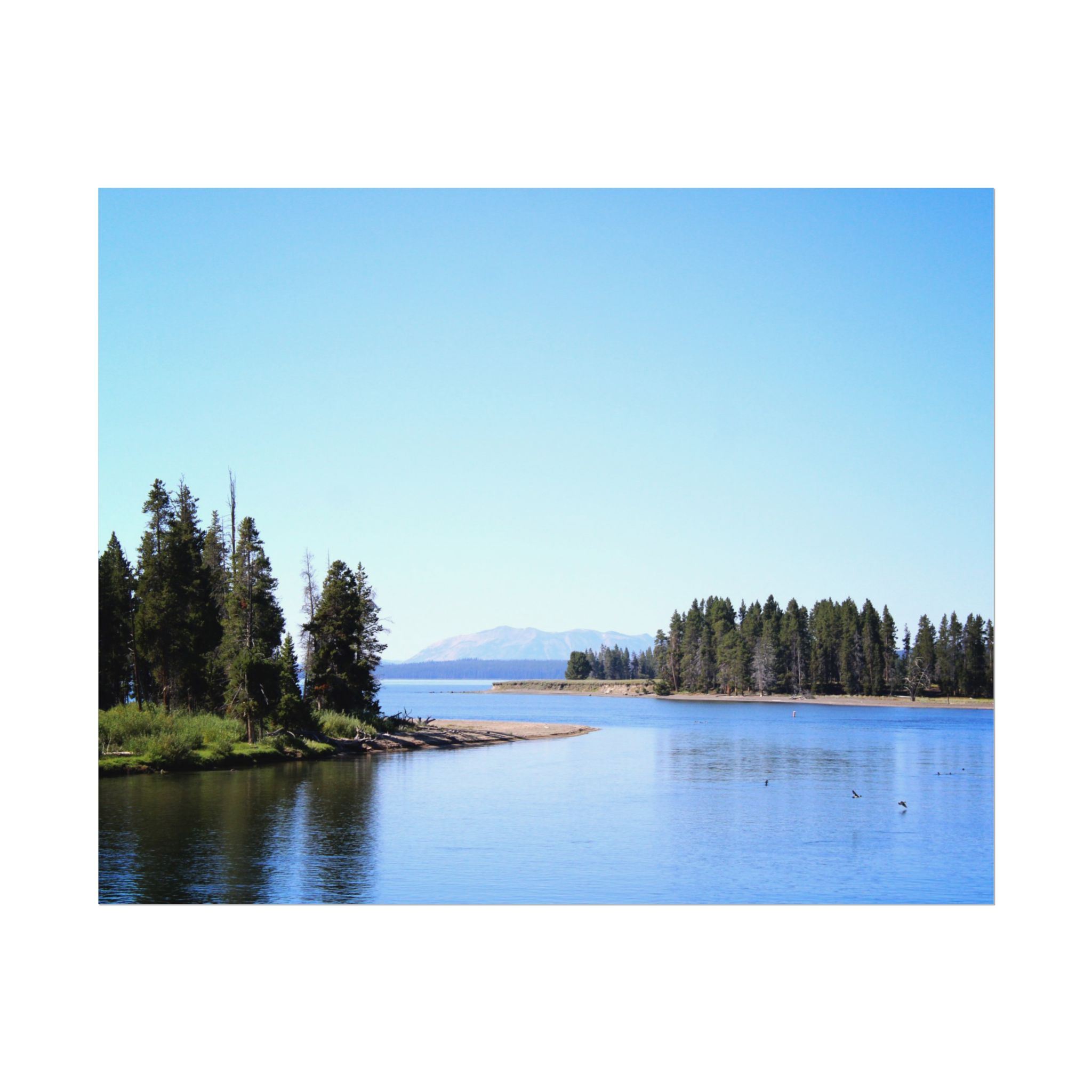Yellowstone Lake West Thumb Color Original Photography Poster Print