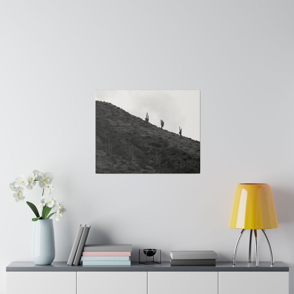 Thumbnail: Black & White Arizona Hillside with Saguaro Cactus Matte Canvas Stretched