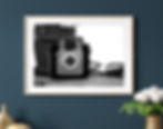 Thumbnail: Black & White Vintage Film Camera Next to Flower Pot Photography Print