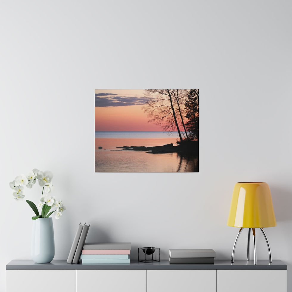 Thumbnail: Lake Horizon with Trees on the Rocky Lakeshore at Dawn Color Matte Canvas