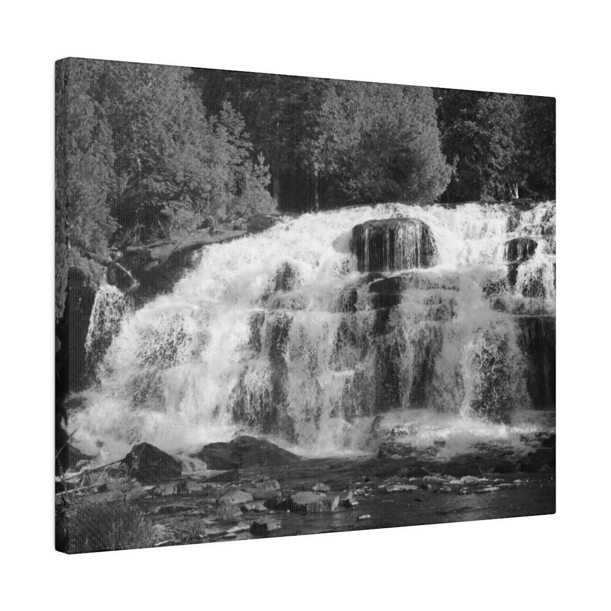Black & White Waterfalls Surrounded by Trees Matte Canvas Stretched