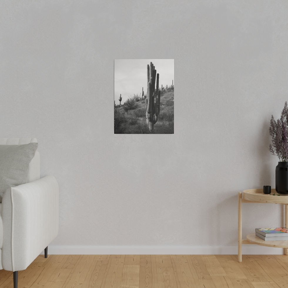 Thumbnail: Black & White Thick Saguaro Cactus Matte Canvas