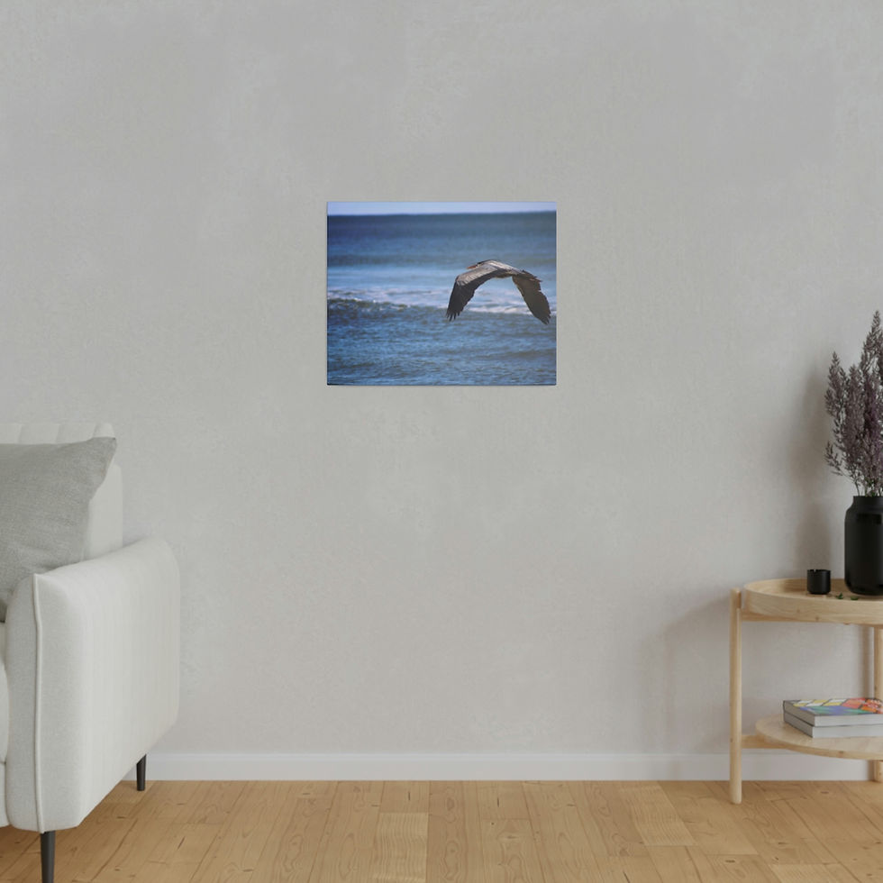 Thumbnail: Heron in Flight Over the Ocean Color Matte Canvas Stretched