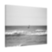 Black & White Brown Pelican Flying Over the Ocean Matte Canvas Stretched
