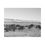 Thumbnail: Black & White Utah Desert Landscape with Trees Matte Canvas
