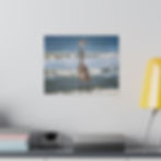 Thumbnail: Heron on the Beach Looking Away Color Matte Canvas Stretched