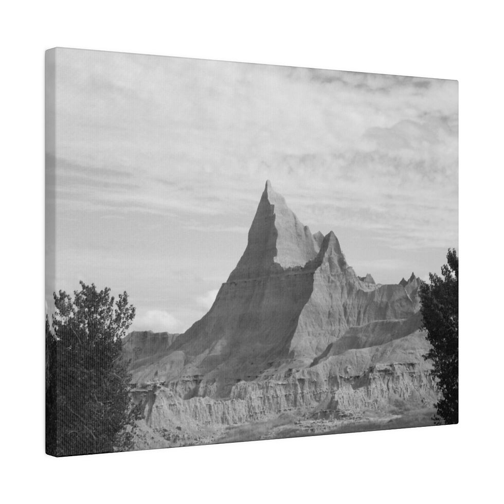 Thumbnail: Black & White Jagged Formation in Badlands Matte Canvas