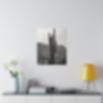 Thumbnail: Black & White Saguaro Cactus in the Arizona Desert Matte Canvas Stretched