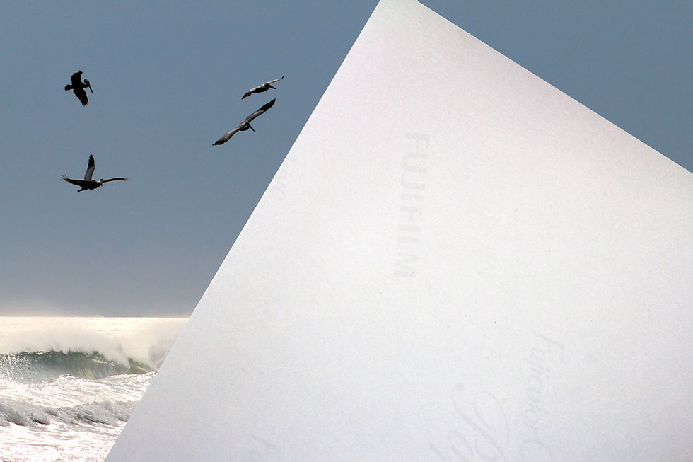 Thumbnail: Ocean Horizon with Brown Pelicans Color Photography Print