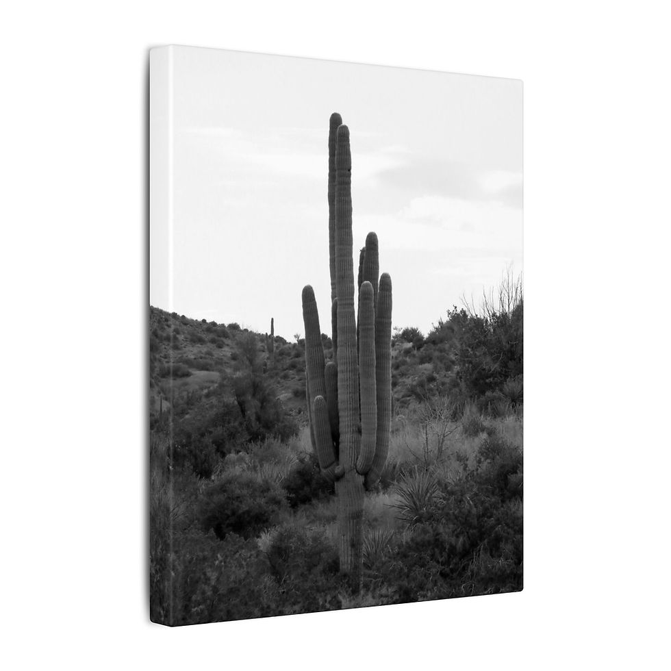 Thumbnail: Black & White Saguaro Cactus Matte Canvas Ready to Hang Desert Wall Art