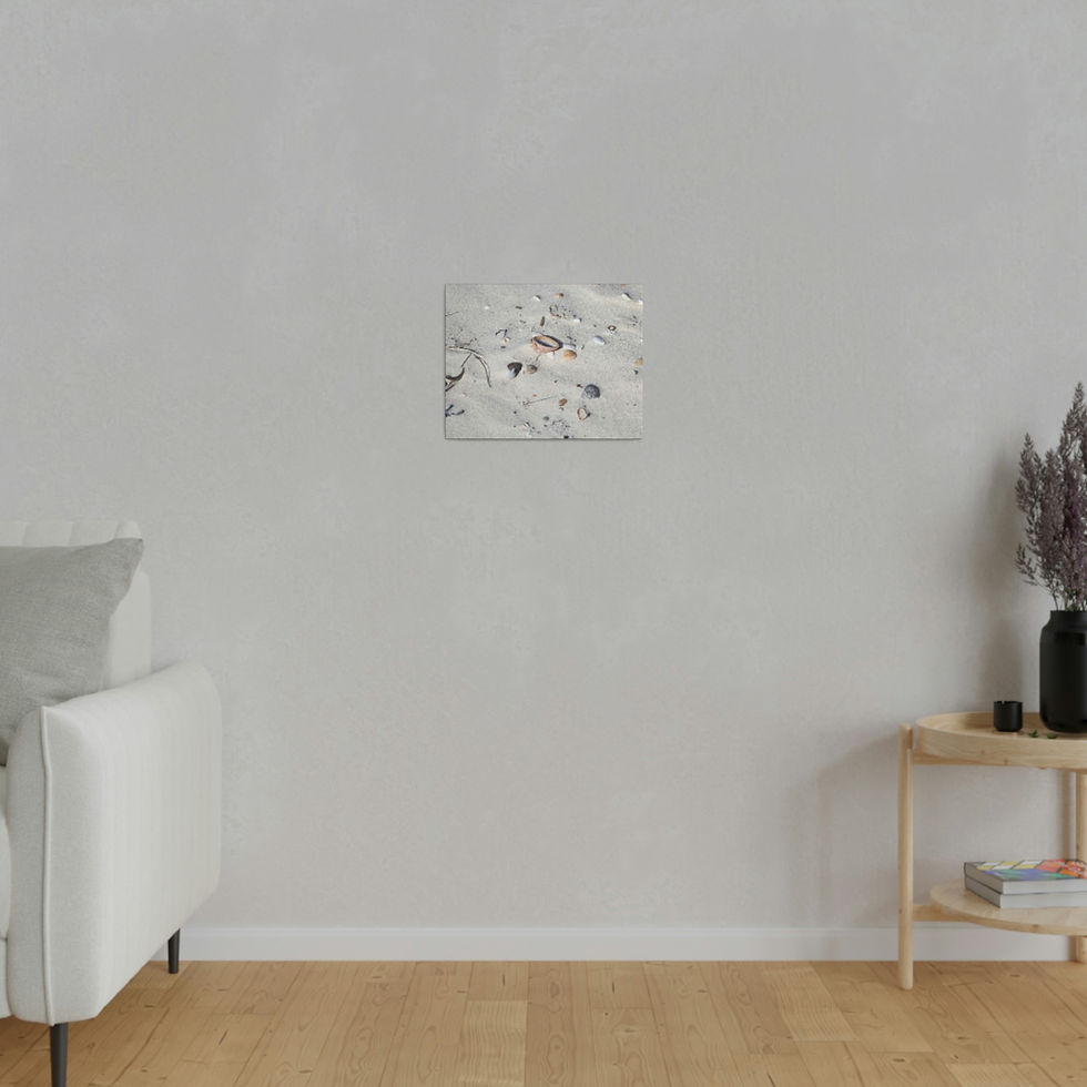 Thumbnail: Seashells in the Sand Color Matte Canvas Stretched