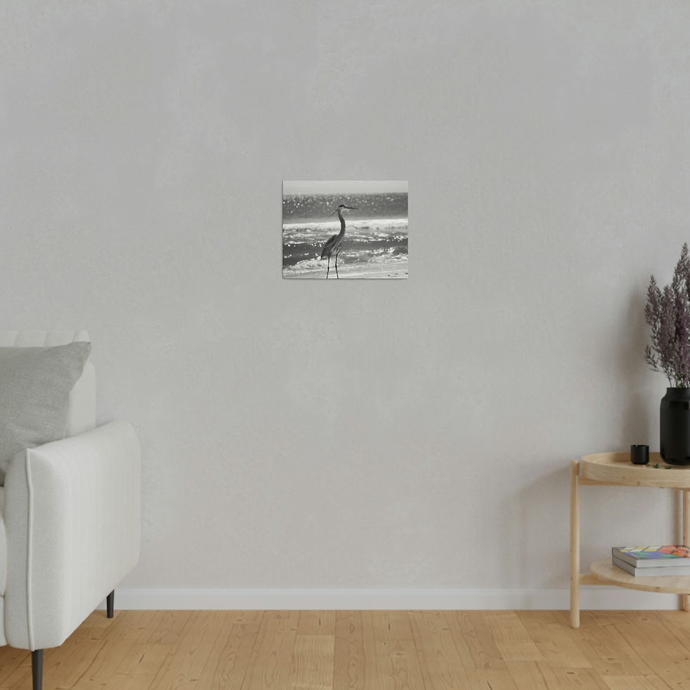 Thumbnail: Black & White Heron in Front of Ocean Full Length Matte Canvas Stretched