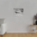 Thumbnail: Black & White Pair of Bonaparte's Gull Seagulls Matte Canvas Stretched