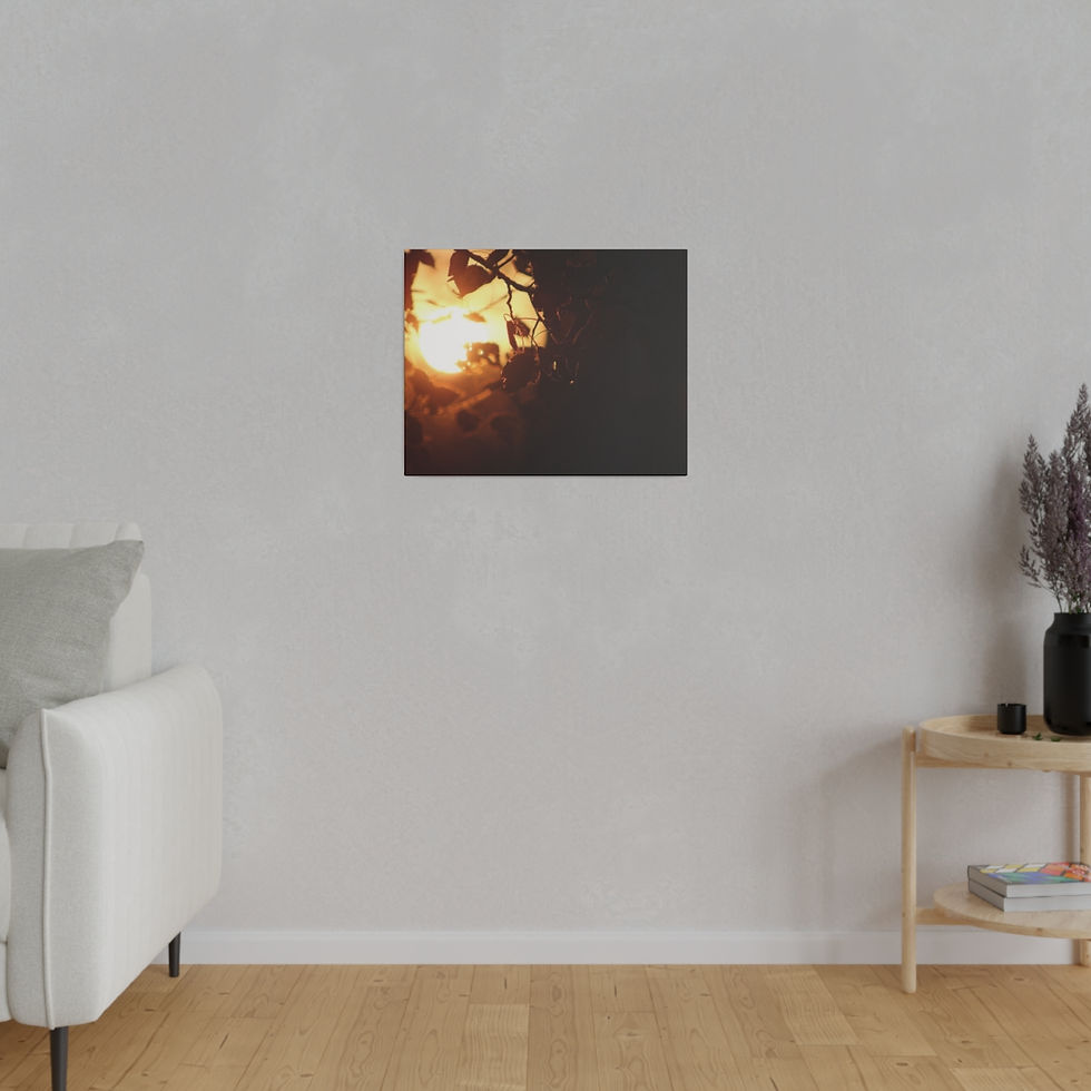 Thumbnail: Birch Tree Leaves at Dawn Matte Canvas Stretched Framed