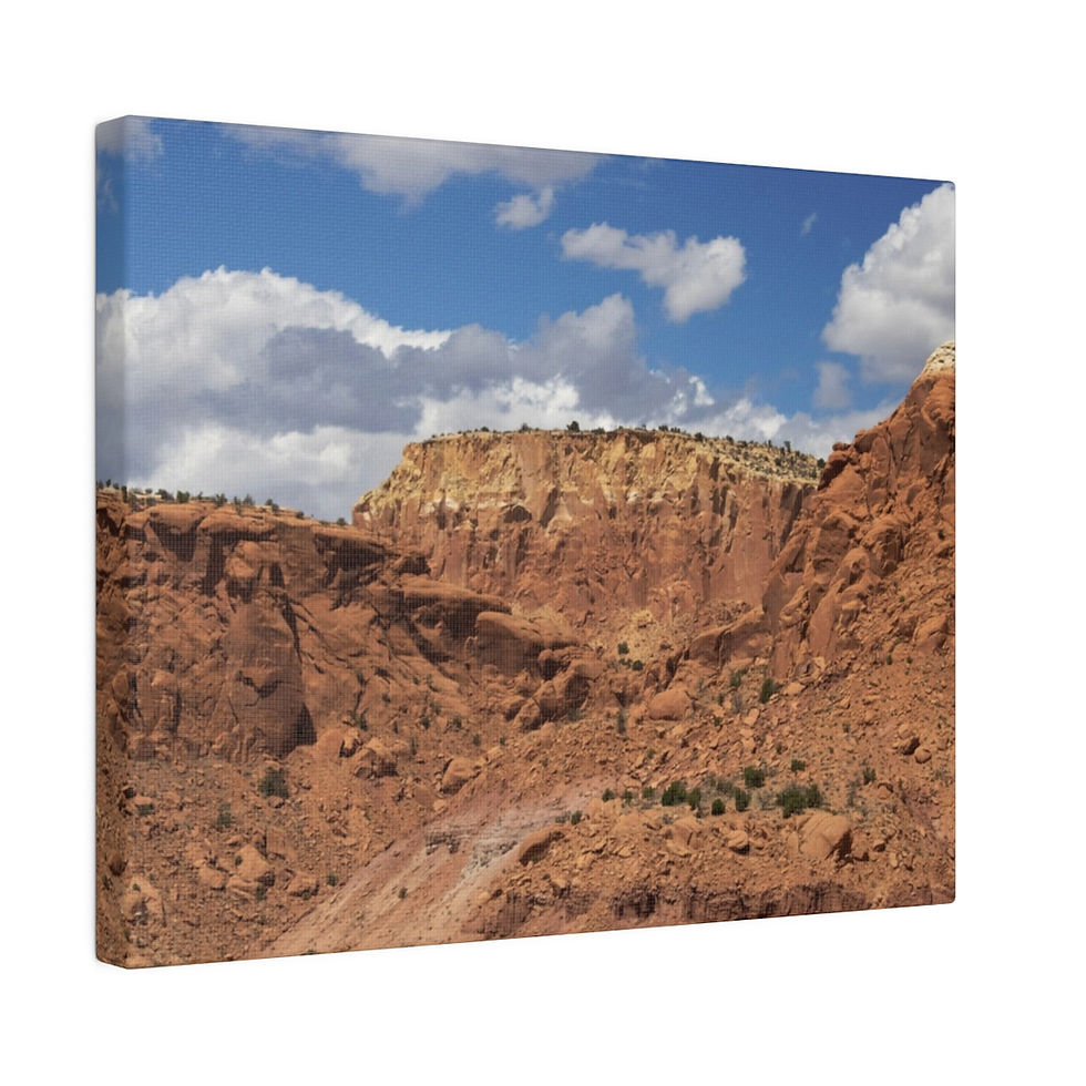 Thumbnail: Red Rocks in the Mountains of New Mexico Color Matte Canvas