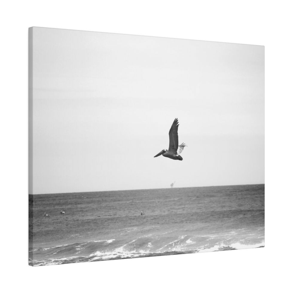 Thumbnail: Black & White Brown Pelican Flying Over the Ocean Matte Canvas Stretched