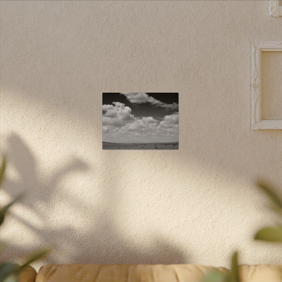 Thumbnail: Black & White Big White Fluffy Clouds Over Oklahoma Prairie Matte Canvas